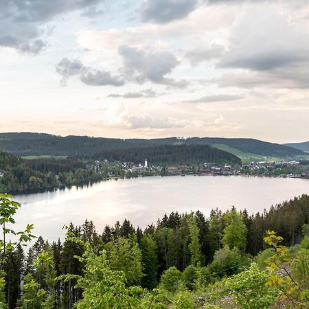 Ferienwohnung Sonnenglueck Mit Grosszuegigem Suedbalkon Lenzkirch Zewnętrze zdjęcie